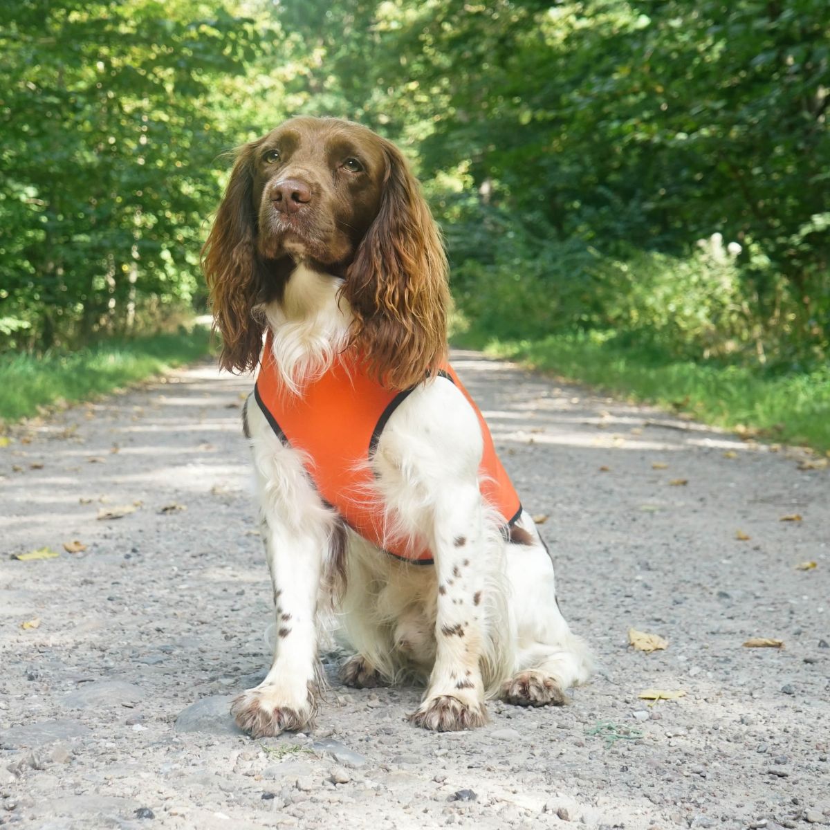 Siccaro Pro-Tect Vest