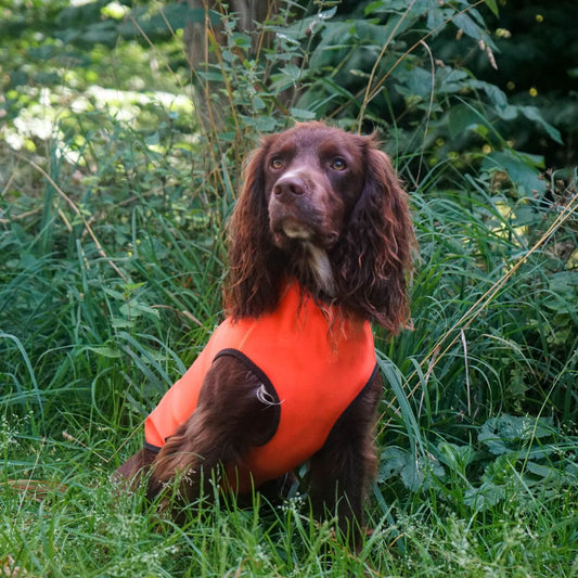 Siccaro Pro-Tect Vest