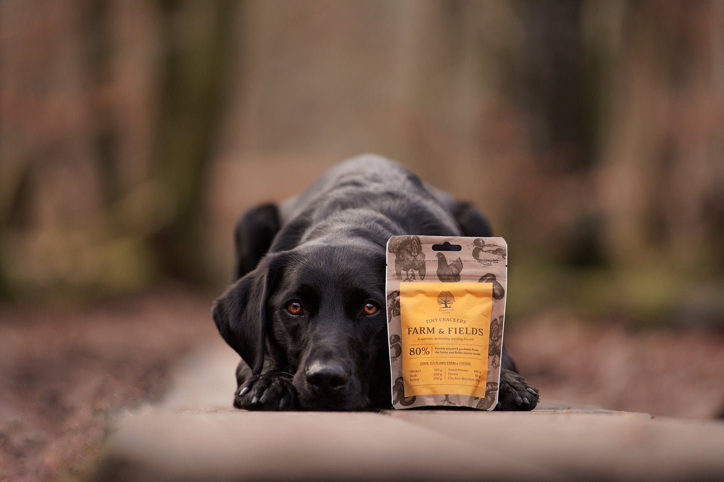 Essential Foods – Farm & Field Tiny Crackers