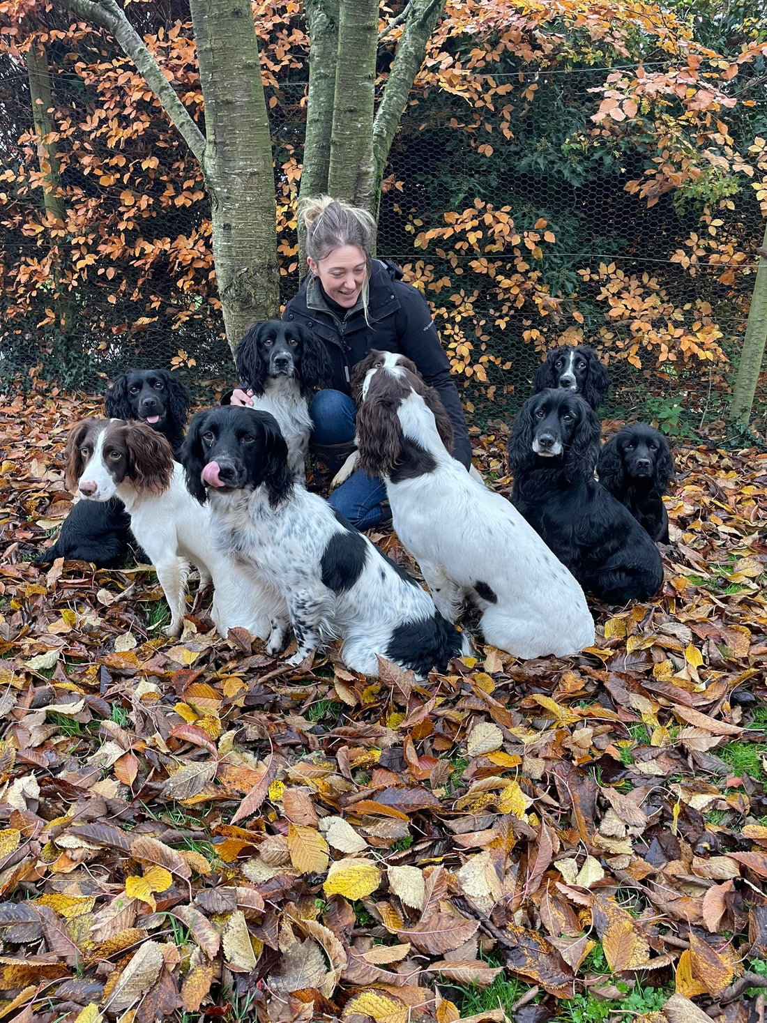 She Leads the Field – Helen | Brymbleton Gundogs
