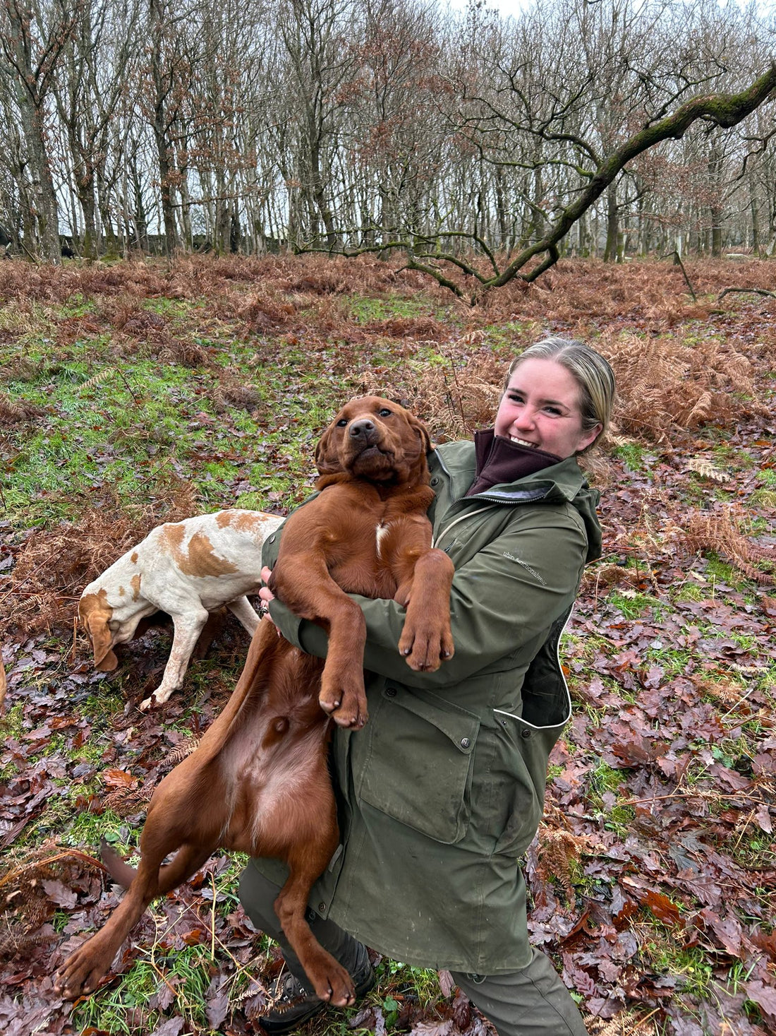 She Leads the Field – Emily | Cottershot Working Labradors