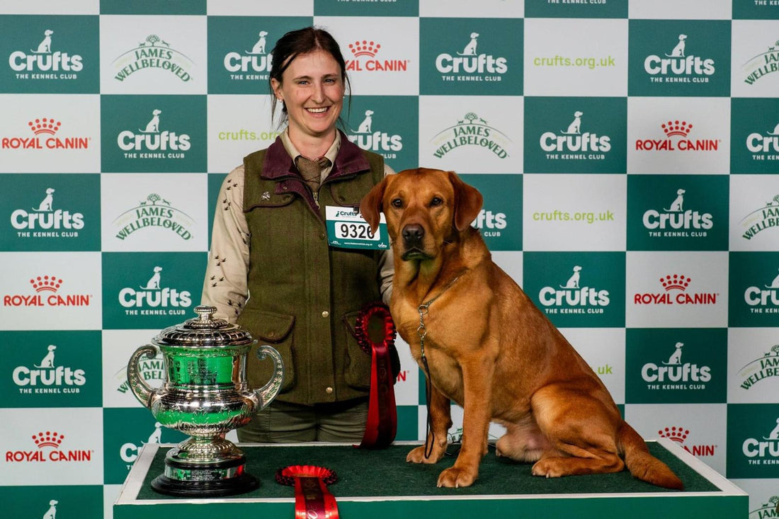 She Leads the Field – Emma | Foxhope Gundogs