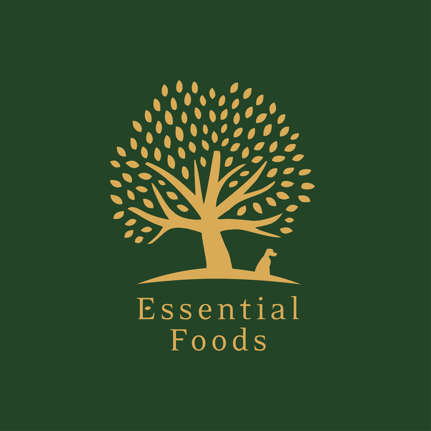 ESSENTIAL FOODS Collection