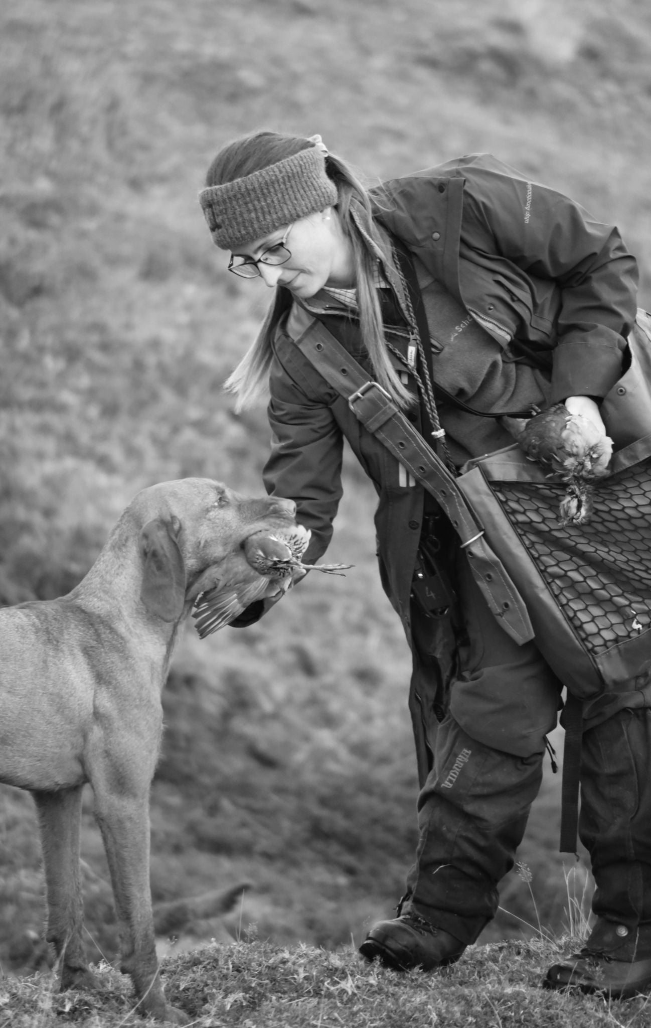 Train in Comfort – Dog Training Vests