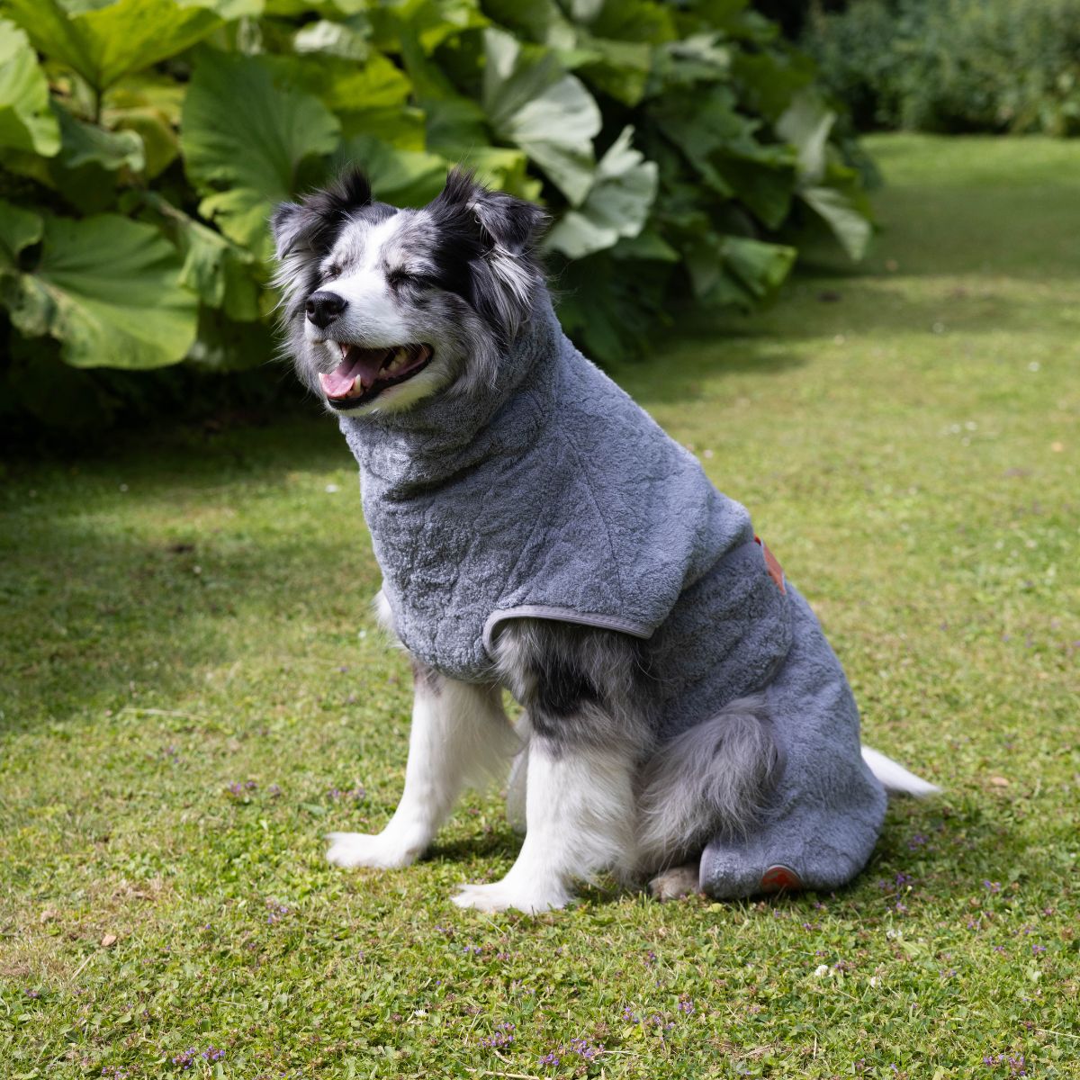 Siccaro Selected dog drying coat