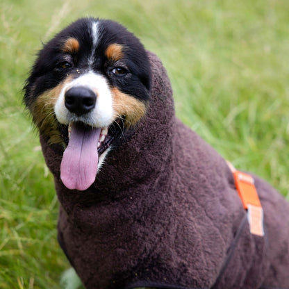 Siccaro Selected dog drying coat