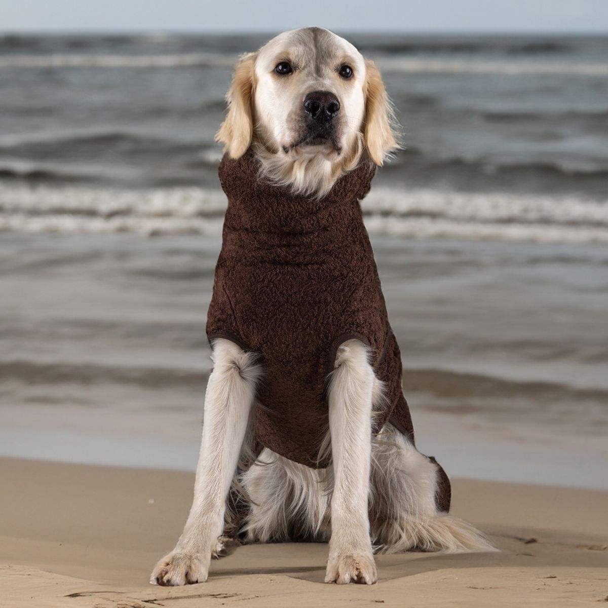 Siccaro Selected dog drying coat