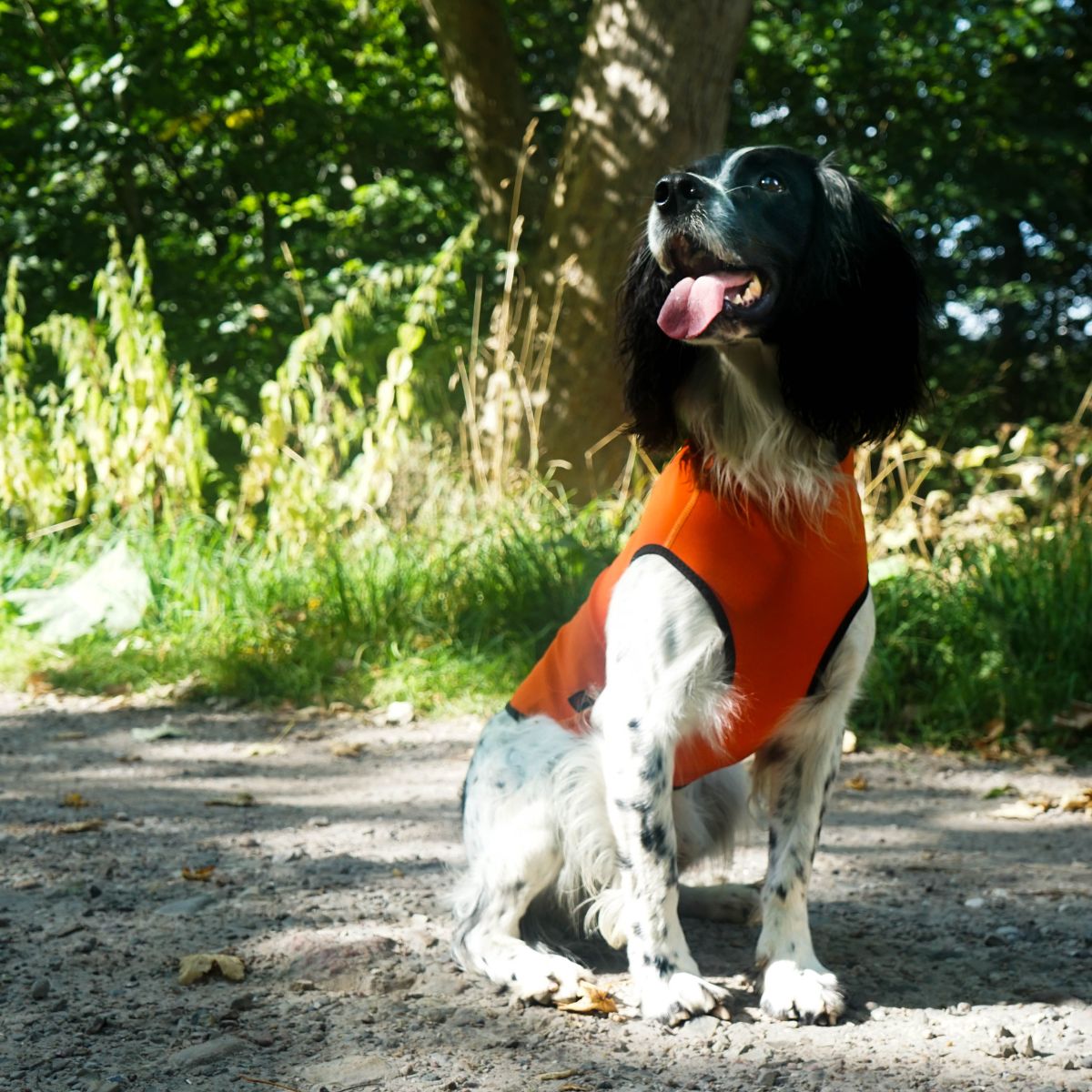 Siccaro Pro-Tect Vest