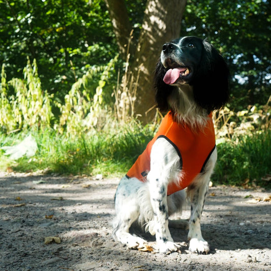 Siccaro Pro-Tect Vest