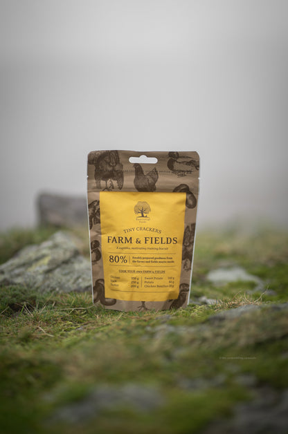 Essential Foods – Farm & Field Tiny Crackers
