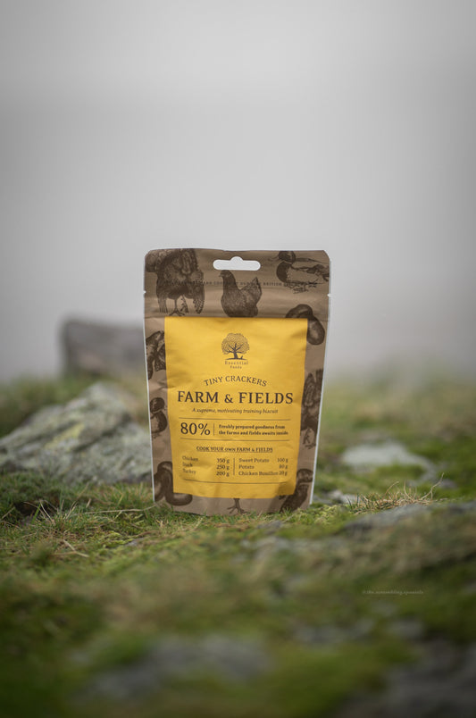 Essential Foods – Farm & Field Tiny Crackers